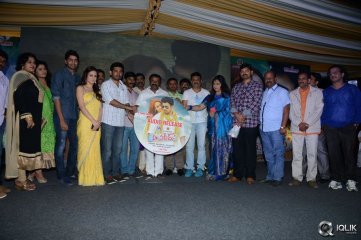 Dr Saleem Movie Audio Launch